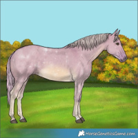 Horse Color:Watercolor Chocolate Palomino Dun 