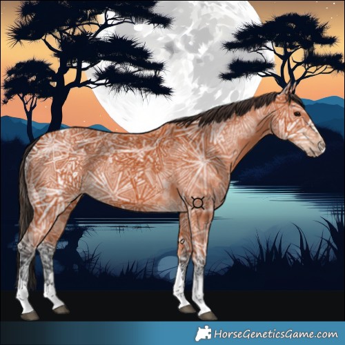 Horse Color:Bay Ice Tobiano 
