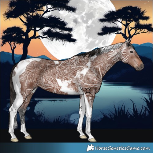 Horse Color:Gray Bay Ice Tobiano