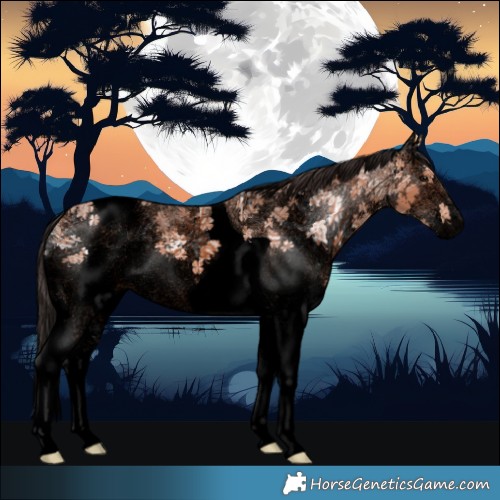 Horse Color:Void White Spotted Bay Ice Tobiano