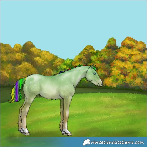 Horse Color:Painted Buckskin Pearl Dun 