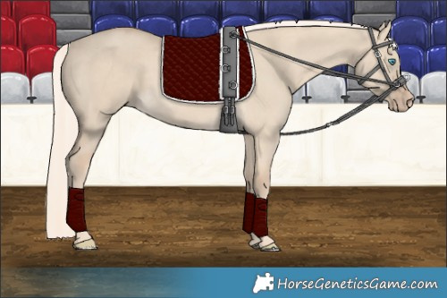 Horse Color:Cremello Dun 