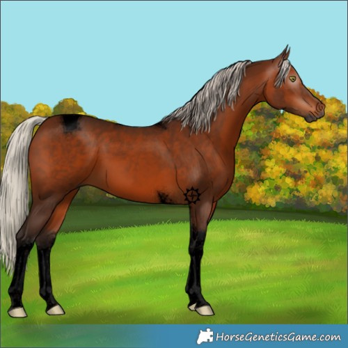 Horse Color:Gray Void Silver Bay Tobiano