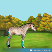 Horse Color:Bay Ice Onyx 