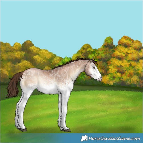 Horse Color:White Spotted Liver Red Onyx Ice Pearl