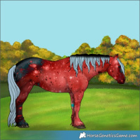 Horse Color:ERROR: UNKNOWN ANOMALY