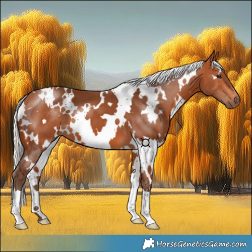 Horse Color:White Spotted Silver Bay 