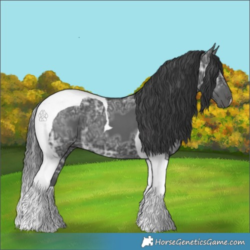 Horse Color:Black Ice Tobiano
