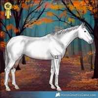 Horse Color:Gray Chocolate Bay Dun Tobiano 
