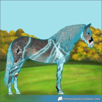 Horse Color:Thunderstruck Silver Smoky Black Sabino