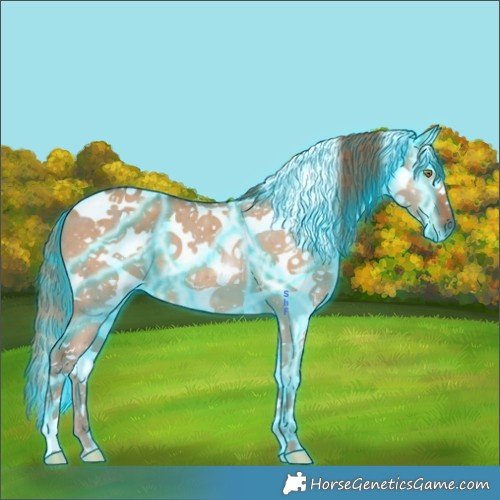 Horse Color:Thunderstruck White Spotted Red Dun Tobiano 