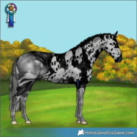 Horse Color:ERROR: UNKNOWN ANOMALY