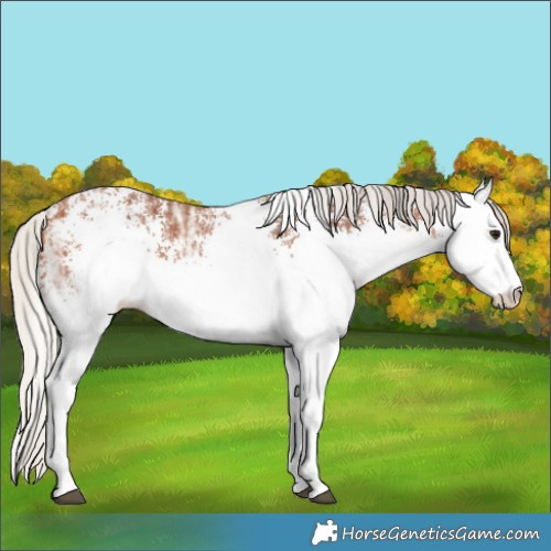 Horse Color:White Spotted Silver Bay Ice 