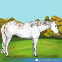 Horse Color:White Spotted Silver Bay Ice 