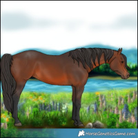 Horse Color:White Spotted Brown Rabicano 