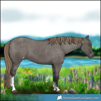 Horse Color:White Spotted Smoky Grullo Varnish 