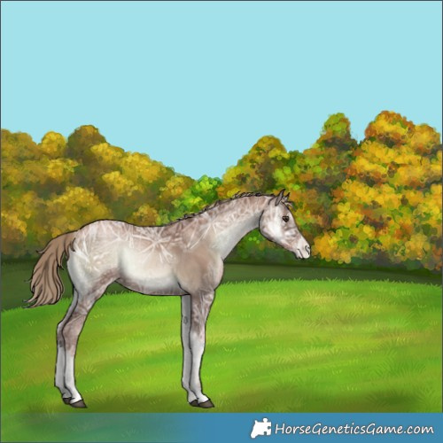 Horse Color:Liver Red Onyx Ice Pearl 