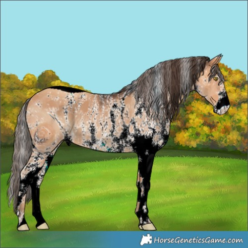 Horse Color:ERROR: UNKNOWN ANOMALY