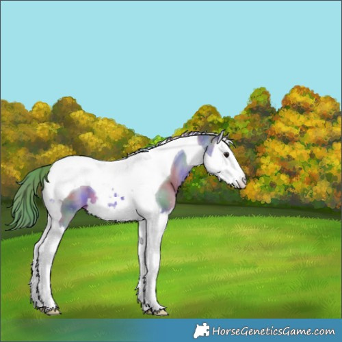Horse Color:Nacre Watercolor Bay Splash Tobiano 
