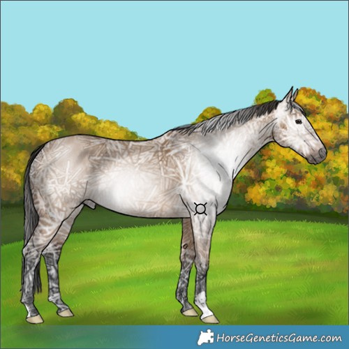 Horse Color:Gray Bay Ice Dun 