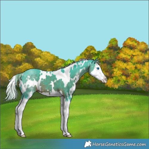 Horse Color:Watercolor White Spotted Liver Chestnut Splash 