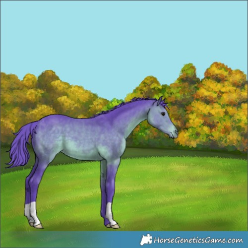 Horse Color:Watercolor Brown 