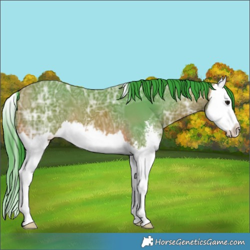 Horse Color:Watercolor Bay Ice Sabino Splash