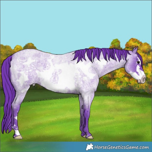 Horse Color:Watercolor Blue Roan Frame