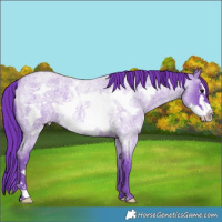 Horse Color:Watercolor Blue Roan Frame