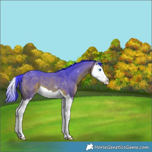 Horse Color:Watercolor Bay Splash 