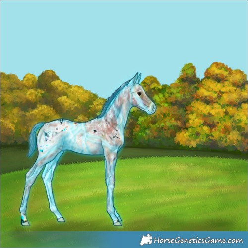 Horse Color:Nacre Thunderstruck White Spotted Brown Ice Onyx Rabicano 