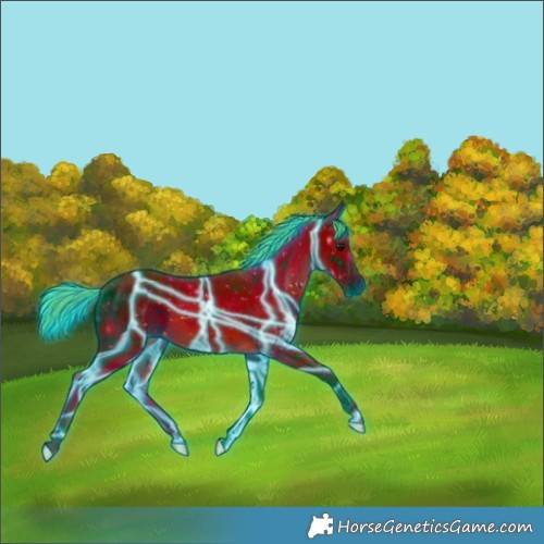 Horse Color:ERROR: UNKNOWN ANOMALY