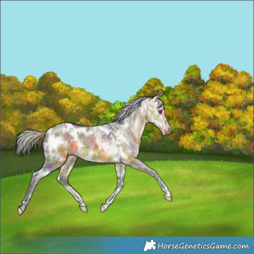 Horse Color:Nacre White Spotted Silver Brown Chinchilla Ice 