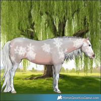 Horse Color:Watercolor Silver Bay Ice Dun Splash 