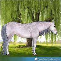 Horse Color:Watercolor White Spotted Brown Ice Onyx Tobiano 