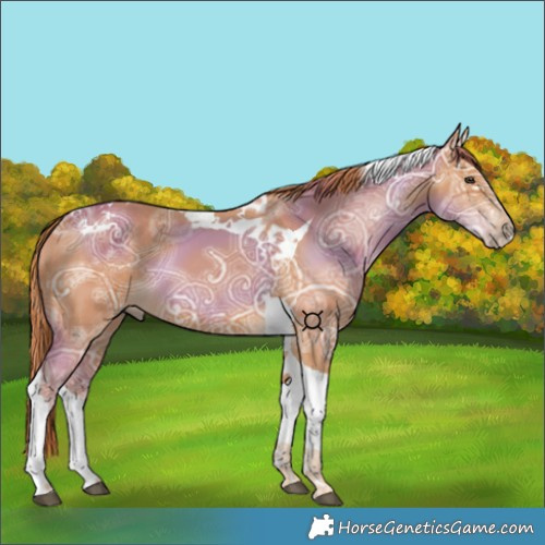 Horse Color:Chestnut Ice Tobiano 