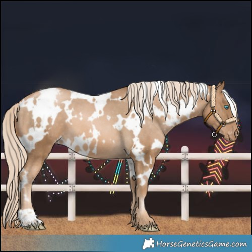 Horse Color:White Spotted Chocolate Palomino Pearl Varnish 