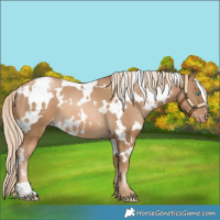 Horse Color:White Spotted Chocolate Palomino Pearl Varnish 