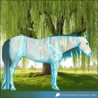 Horse Color:Thunderstruck Buckskin Ice Splash 