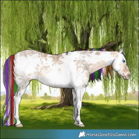 Horse Color:Painted Bay Ice Dun Splash Frame 