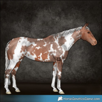Horse Color:White Spotted Silver Brown Varnish 