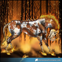 Horse Color:White Spotted Silver Bay 
