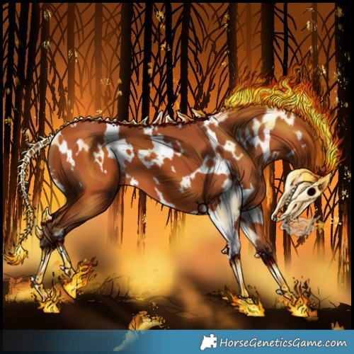 Horse Color:White Spotted Silver Bay 