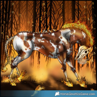 Horse Color:White Spotted Silver Bay 