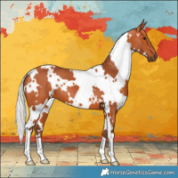 Horse Color:White Spotted Silver Bay 