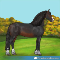 Horse Color:Brown 