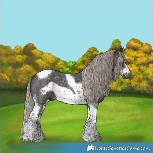 Horse Color:Gray Silver Brown Sabino Tobiano Frame 