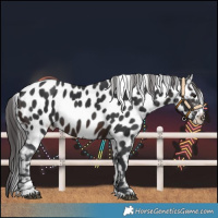 Horse Color:Brown Near Leopard