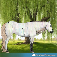 Horse Color:Void Perlino Ice Splash Tobiano 