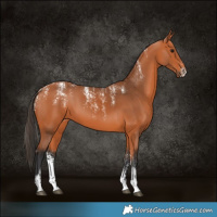Horse Color:Powder White Bay 